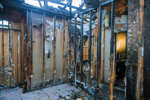 Professional Fire Damage Removal technician working in Vernon, TX